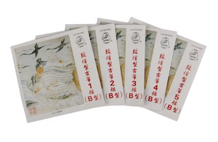 5 Pieces B1-5# Guzheng Strings for Professional Music Instruments