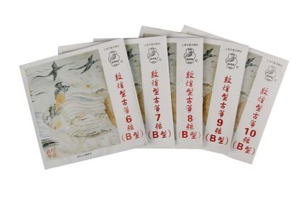5 Pieces B6-10# Guzheng Strings for Professional Music Instruments