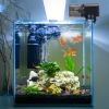 Automatic Fish Feeder 8.45OZ Capacity Electric Fish Food Dispenser for Fish Tank Aquarium