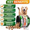 Glucosamine for Dogs 2 Pack Hip and Joint Supplement with Chondroitin 240 Chews