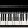 Piano Keyboard Stickers Removable Piano Key Labels PVC Piano Notes Guide without Glue for Beginners Kids