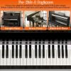 Piano Keyboard Stickers Removable Piano Key Labels PVC Piano Notes Guide without Glue for Beginners Kids